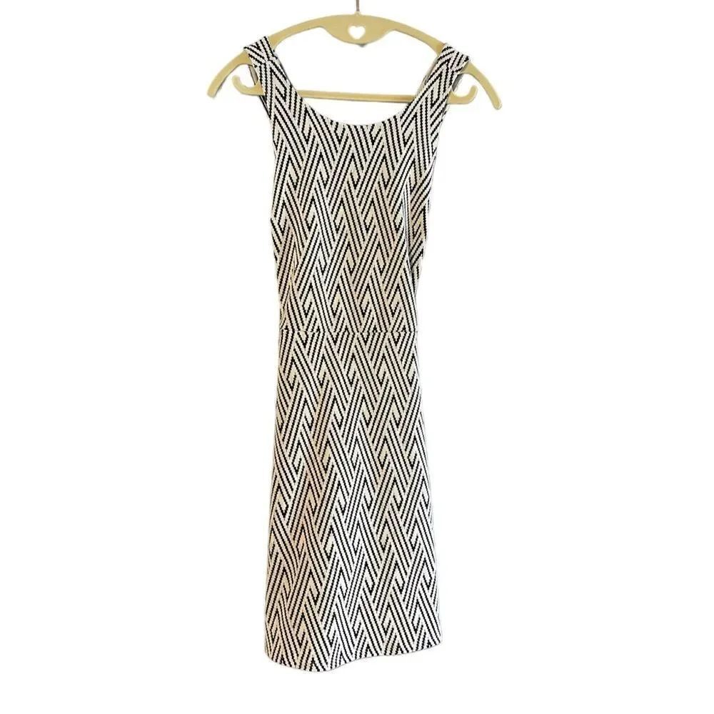 Hollister Geometric Fit & Flare Sleeveless Open Back Mini Dress | SZ S